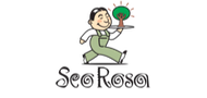 seo-rosa